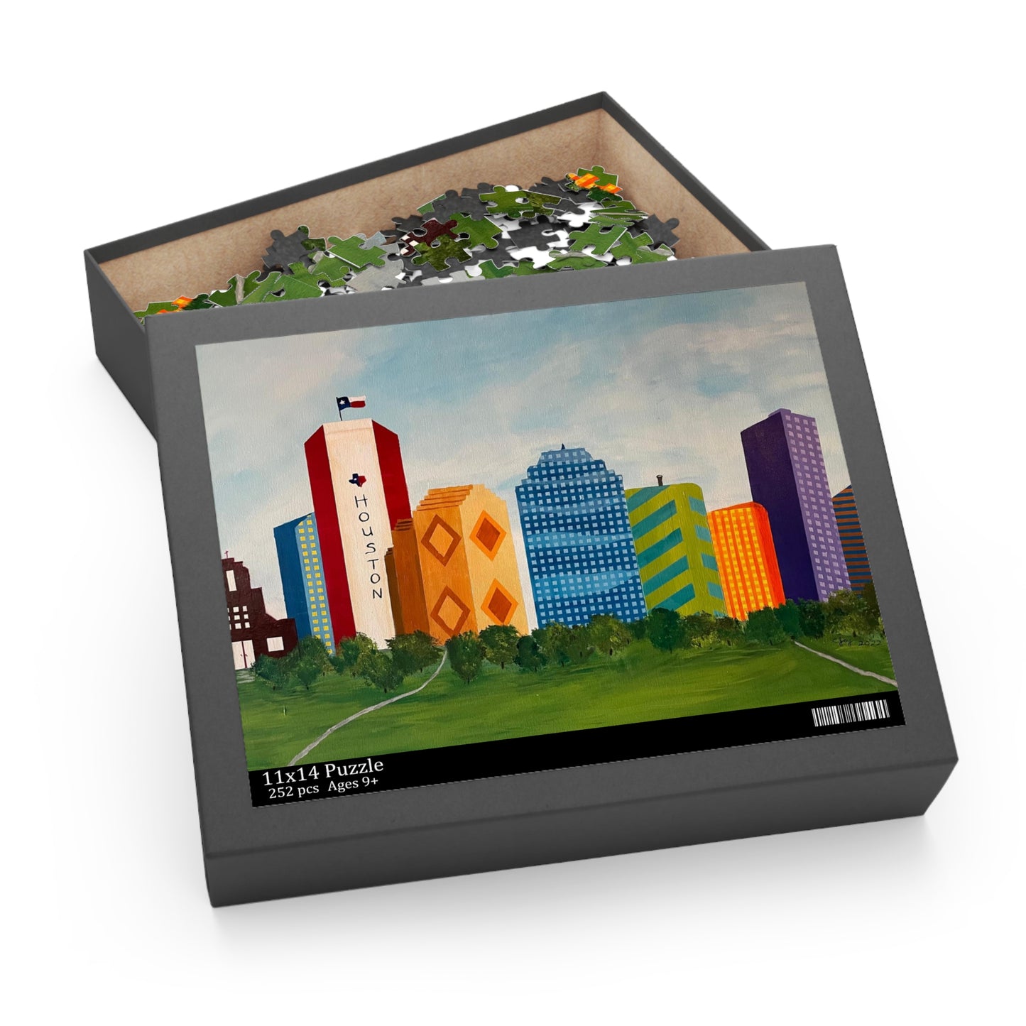 Houston Views Puzzle