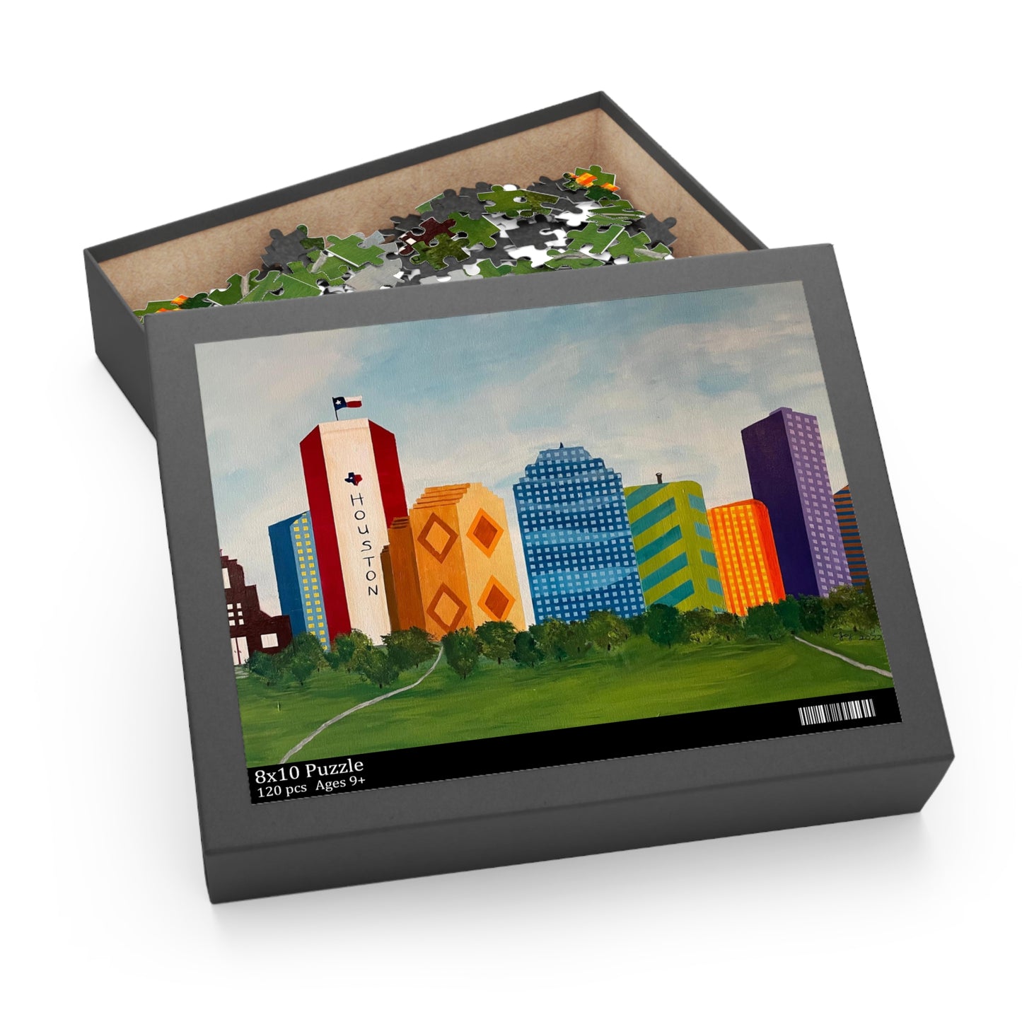 Houston Views Puzzle