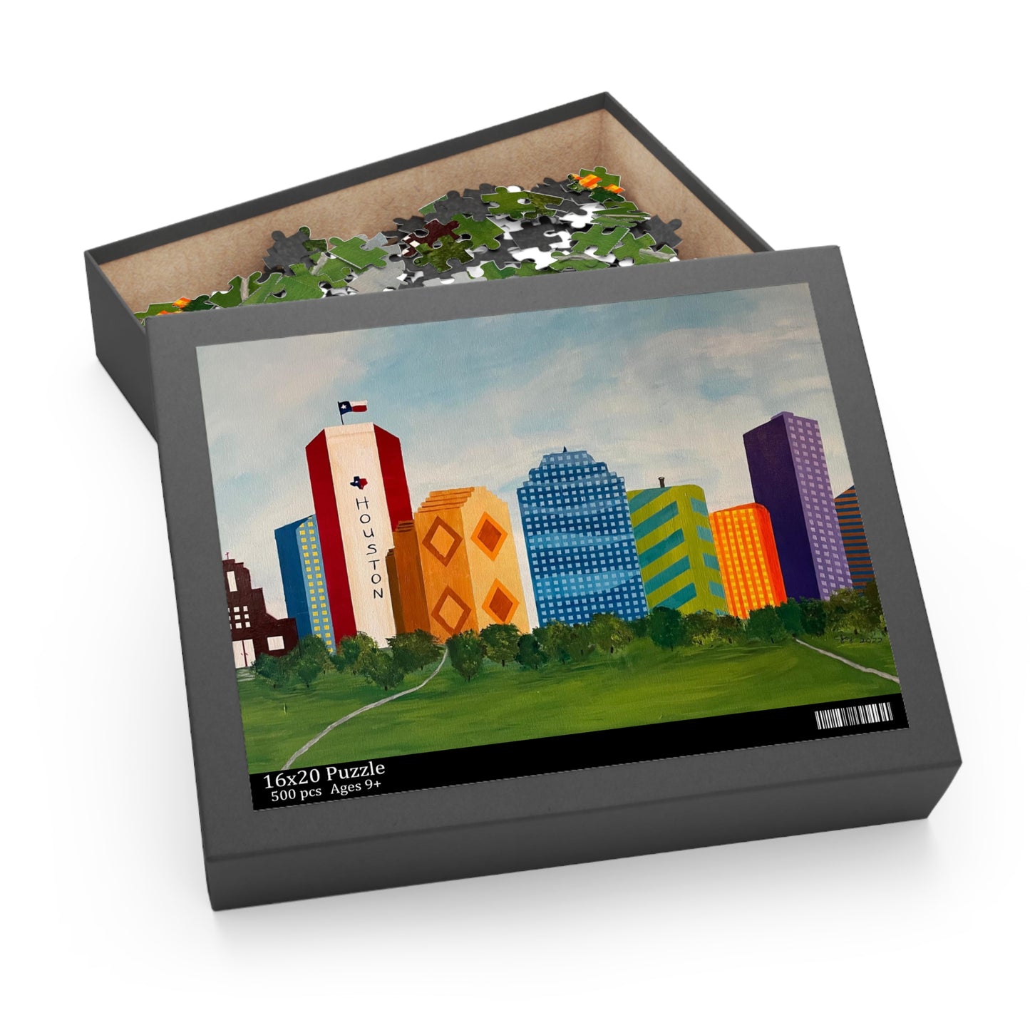 Houston Views Puzzle