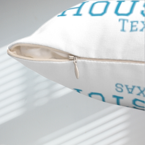 Houston Views Throw Pillow | Houston Texas (White)