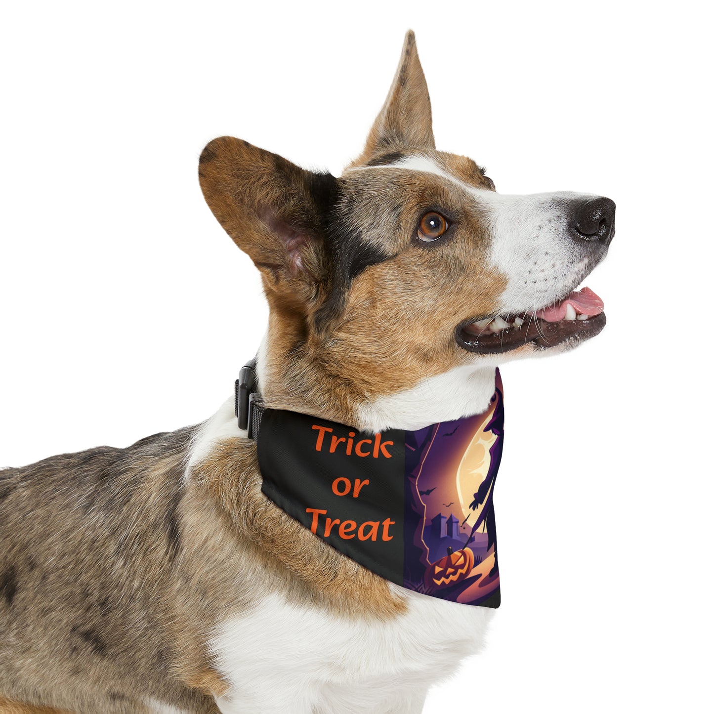 Halloween Witch Trick or Treat Pet Bandana