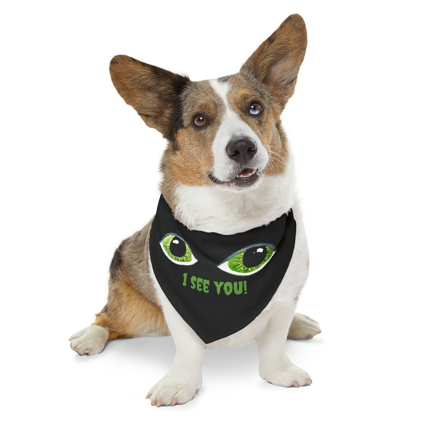 Halloween Spooky Eyes Pet Bandana Collar