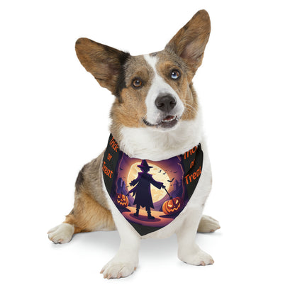 Halloween Witch Trick or Treat Pet Bandana