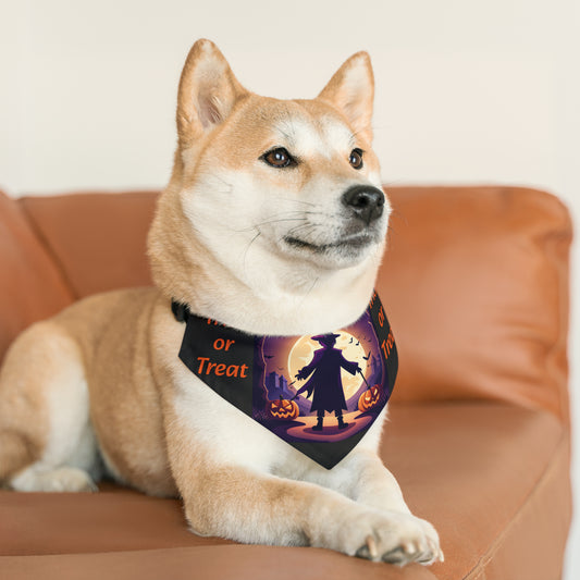 Halloween Witch Trick or Treat Pet Bandana