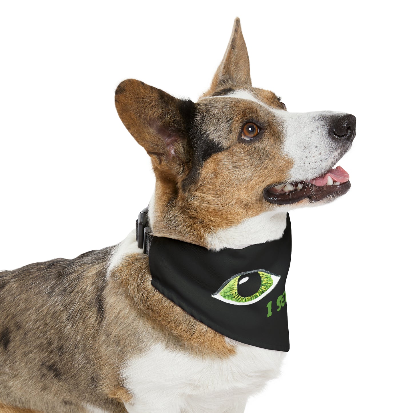 Halloween Spooky Eyes Pet Bandana Collar