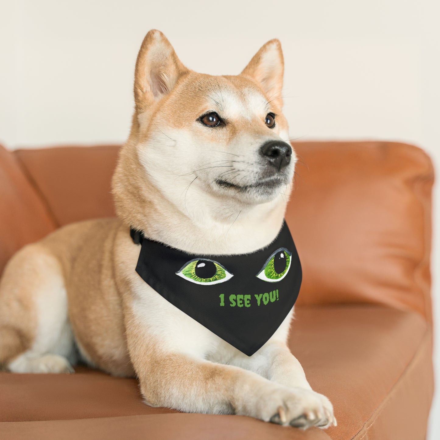 Halloween Spooky Eyes Pet Bandana Collar