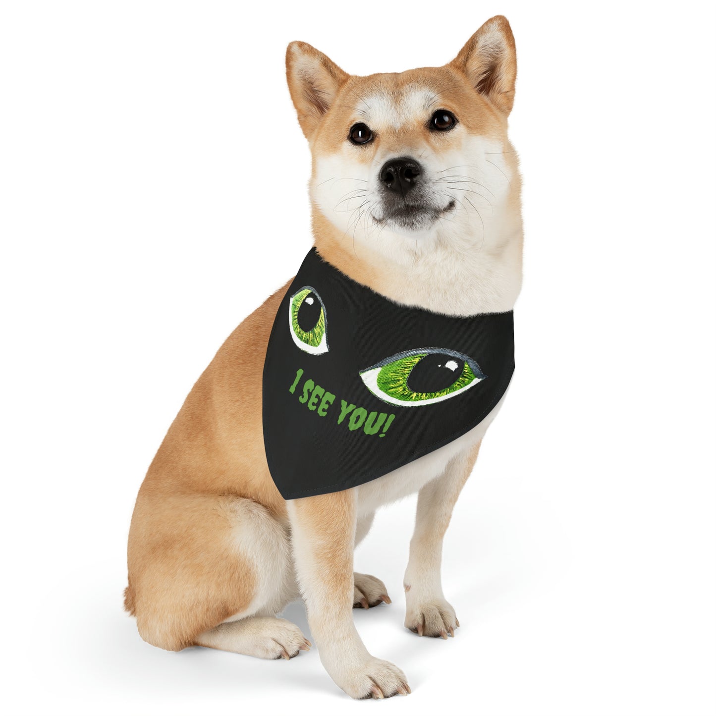 Halloween Spooky Eyes Pet Bandana Collar