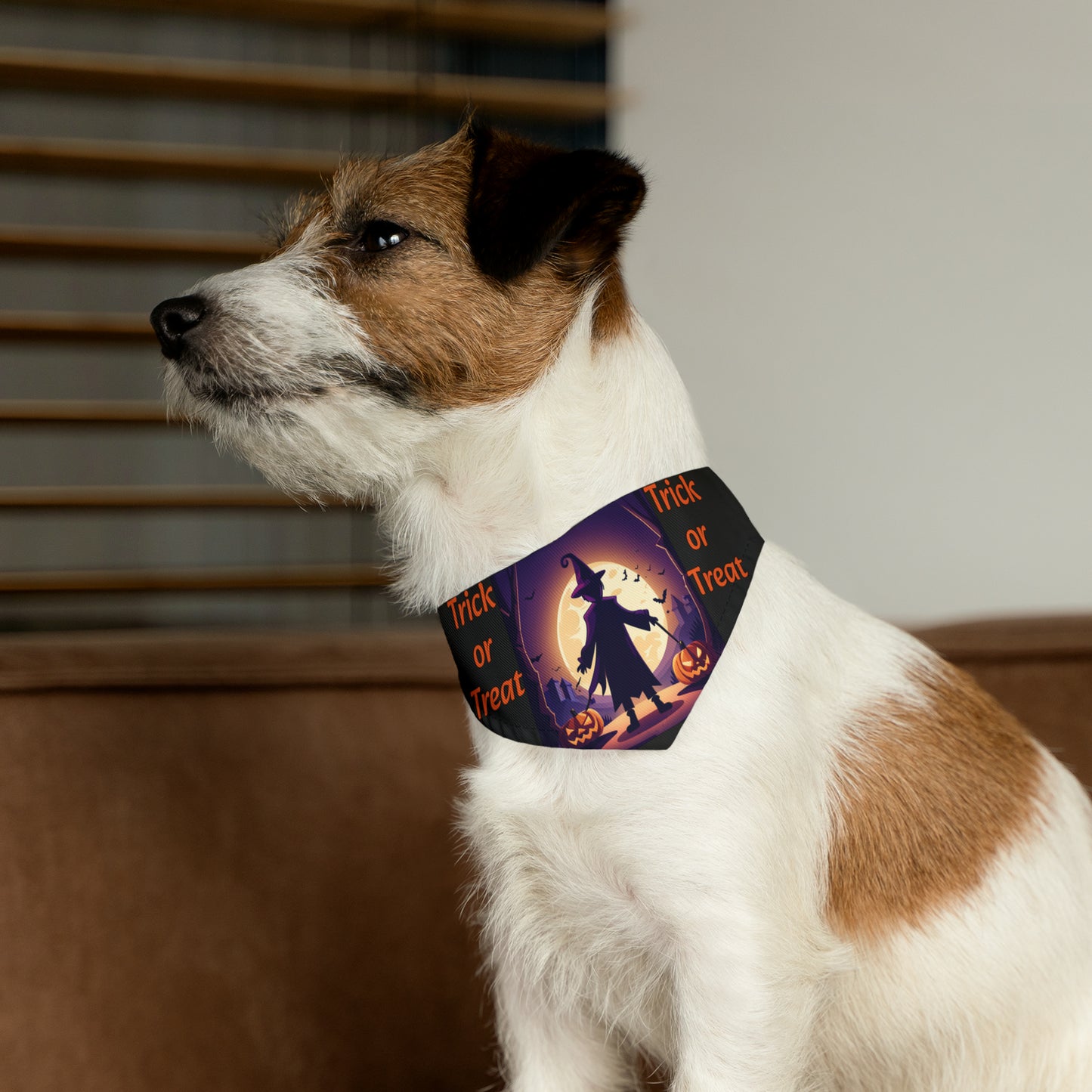 Halloween Witch Trick or Treat Pet Bandana