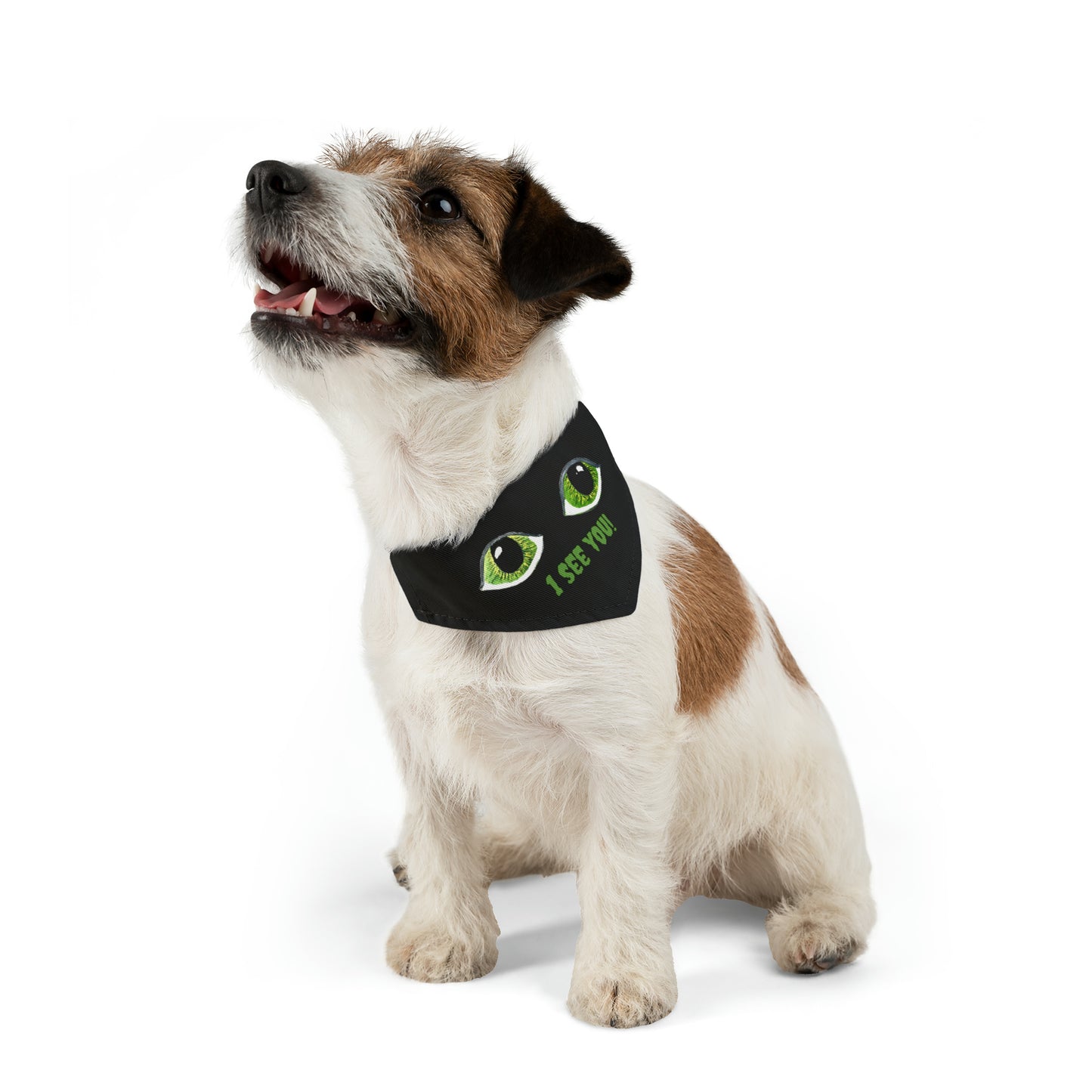 Halloween Spooky Eyes Pet Bandana Collar